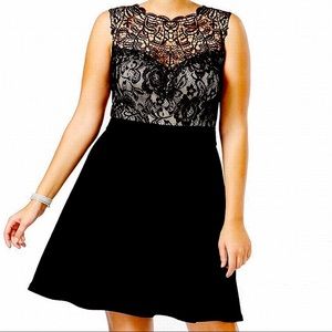 Love Squared Black Lace Textured Mini Dress - 2X